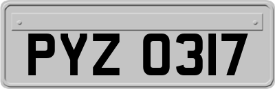 PYZ0317