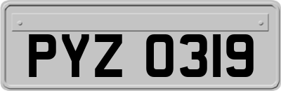 PYZ0319