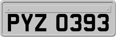 PYZ0393