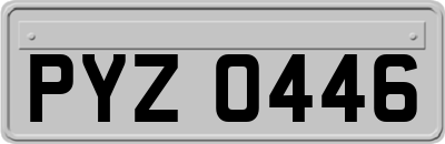 PYZ0446