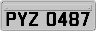 PYZ0487