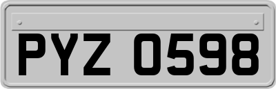 PYZ0598