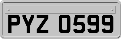 PYZ0599