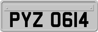 PYZ0614