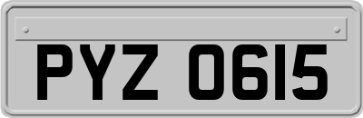 PYZ0615
