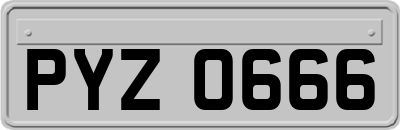 PYZ0666