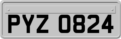 PYZ0824