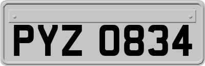 PYZ0834