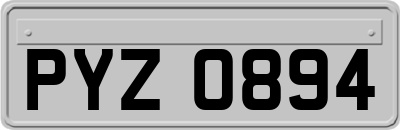 PYZ0894