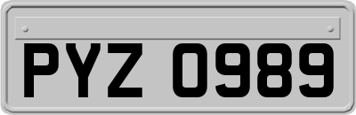 PYZ0989