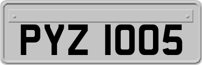 PYZ1005