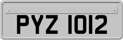 PYZ1012