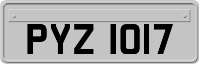 PYZ1017
