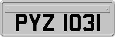 PYZ1031