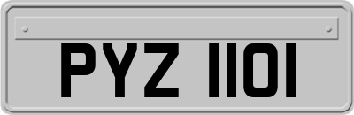 PYZ1101