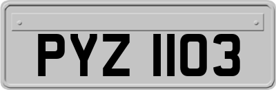 PYZ1103
