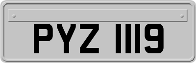 PYZ1119