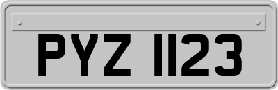 PYZ1123