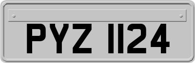 PYZ1124