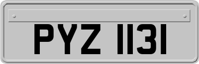 PYZ1131