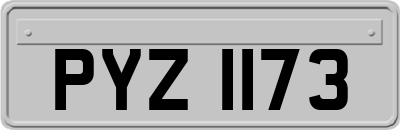PYZ1173