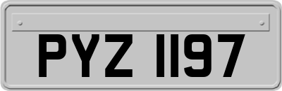 PYZ1197