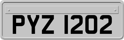 PYZ1202