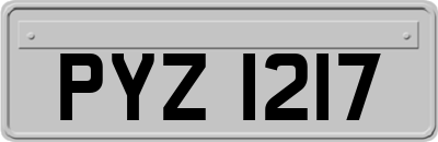 PYZ1217