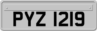 PYZ1219