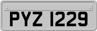 PYZ1229