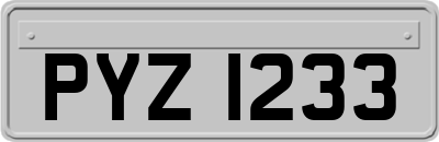 PYZ1233
