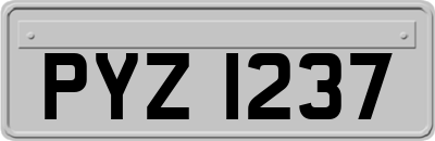 PYZ1237