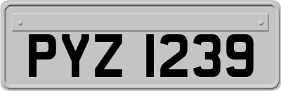 PYZ1239
