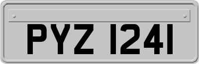 PYZ1241