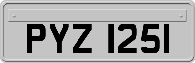 PYZ1251