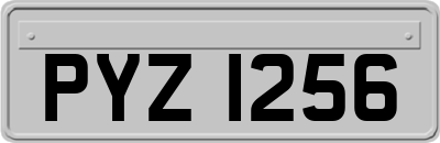 PYZ1256