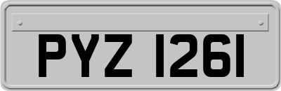 PYZ1261