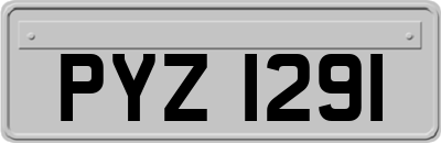 PYZ1291