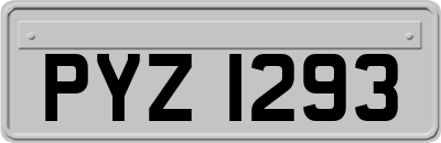 PYZ1293