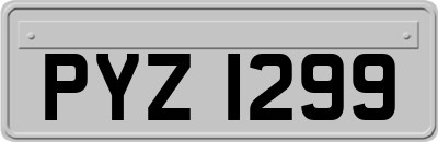 PYZ1299