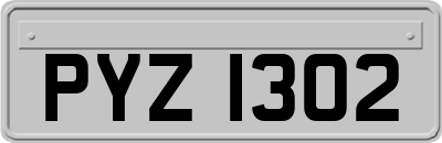 PYZ1302