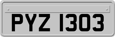 PYZ1303