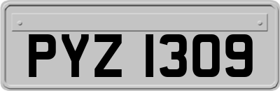 PYZ1309
