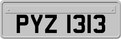 PYZ1313