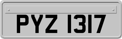 PYZ1317