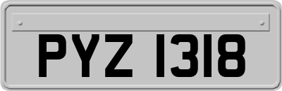 PYZ1318