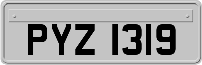 PYZ1319