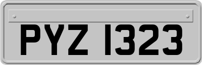 PYZ1323