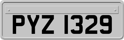 PYZ1329