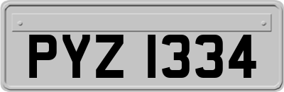 PYZ1334